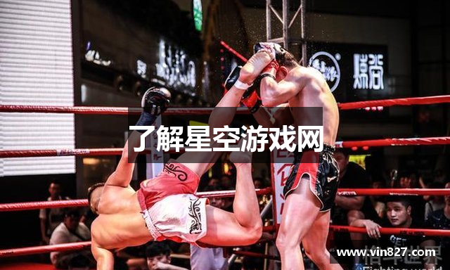 了解星空游戏网